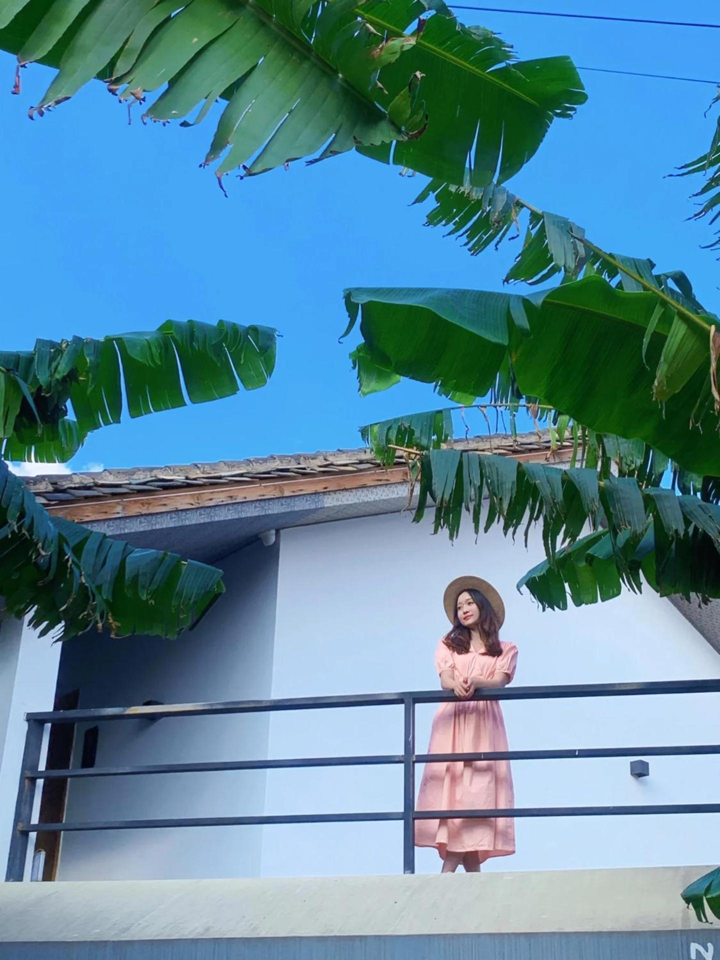 Homestay No Flowers Boutique *